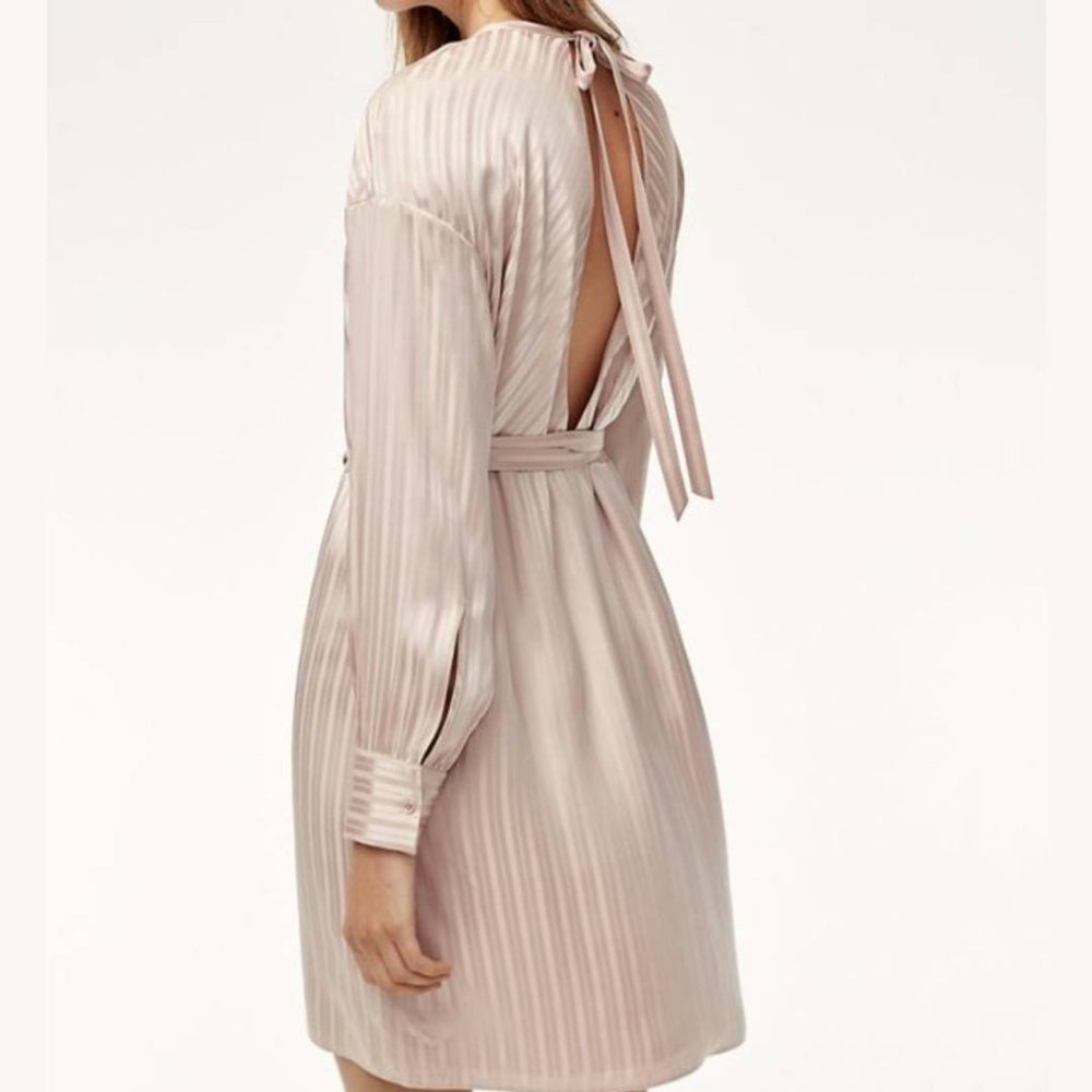 Aritzia Wilfred Gaillard Dress in Light Pink - Picture 3 of 4